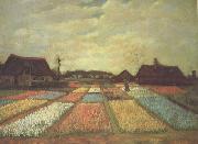 Vincent Van Gogh Bulb Fields (nn04) oil painting